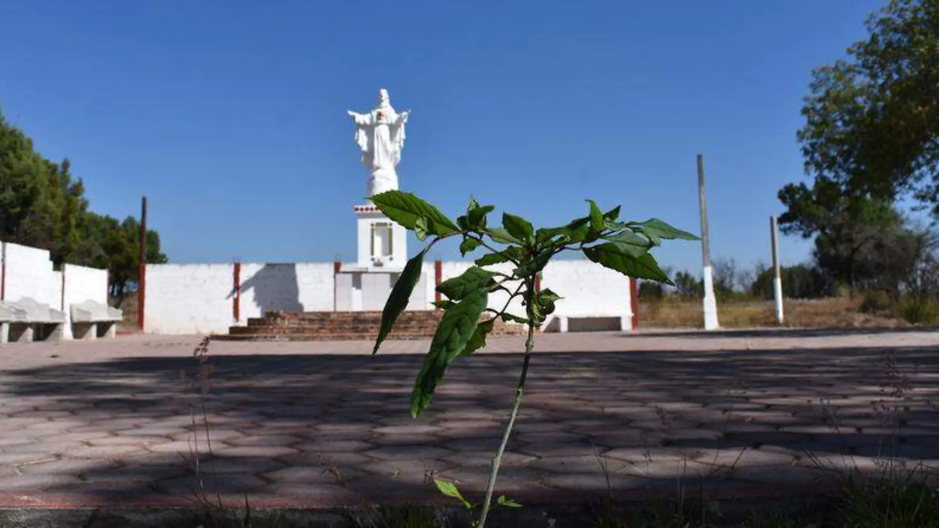 Erosión Cristo Rey (4)